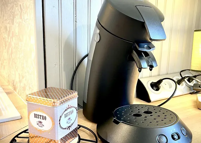 Ocean 莱萨布勒-多洛讷